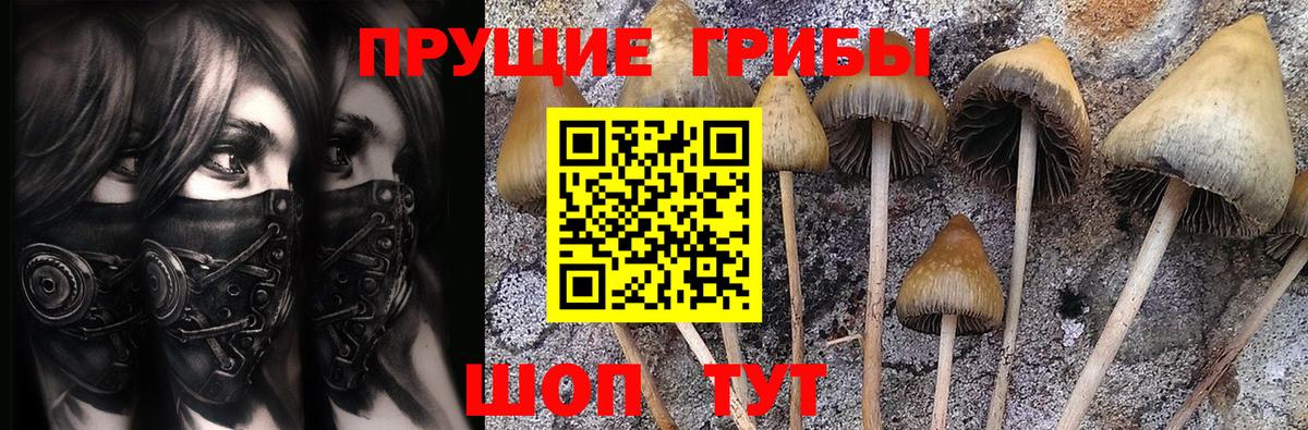 Псилоцибиновые грибы MAGIC MUSHROOMS Ишимбай