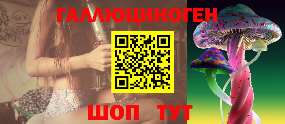 Ишимбай  Галлюциногенные грибы Cubensis  Псилоцибиновые грибы прущие грибы  Вход с VPN 